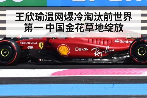 王欣瑜温网爆冷淘汰前世界第一 中国金花草地绽放